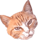 HEY YOU SIX SRING GEARHEADS... COME ON OVER AND CHECK THIS STUFF OUT!